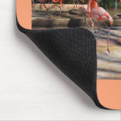 Tapis De Souris Flamants roses (Coin)
