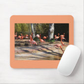 Tapis De Souris Flamants roses (Avec souris)