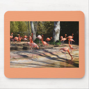 Tapis De Souris Flamants roses