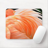 Tapis de souris Flamingo 1 (Avec souris)