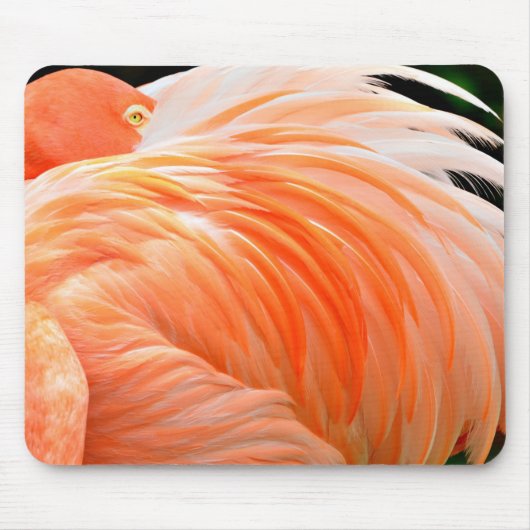 Tapis de souris Flamingo 1 (Devant)