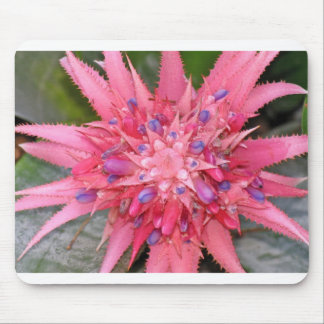 Tapis De Souris fleur
