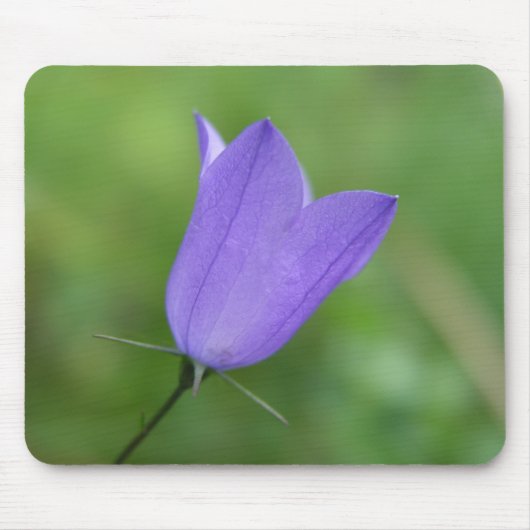 Tapis De Souris Fleur (Devant)