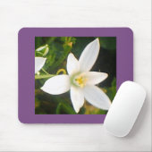 Tapis De Souris Fleur blanche (Avec souris)