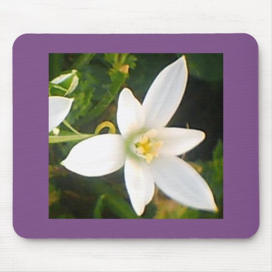 Tapis De Souris Fleur blanche (Devant)