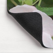 Tapis De Souris Fleur blanche isolée (Coin)