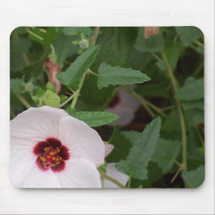 Tapis De Souris Fleur blanche isolée