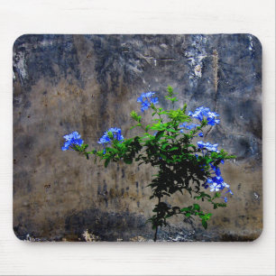 Tapis De Souris Fleur bleu Plumbago