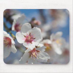 Tapis De Souris Fleur d'amande
