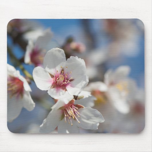 Tapis De Souris Fleur d'amande (Devant)