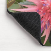 Tapis De Souris Fleur de bromélie (Coin)