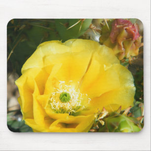 Tapis De Souris fleur de cactus