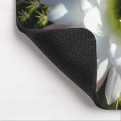 Tapis De Souris Fleur de cactus (Coin)