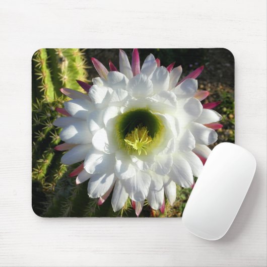 Tapis De Souris Fleur de cactus (Avec souris)