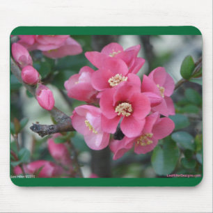 Tapis De Souris Fleur de Cognassier à fleurs roses de printemps