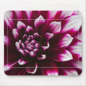 Tapis De Souris Fleur de dahlia (Devant)