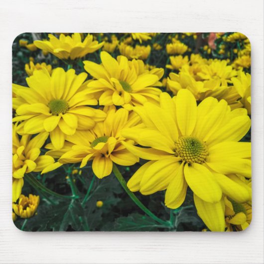 Tapis De Souris Fleur de floraison (Devant)