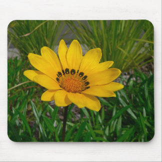 Tapis De Souris Fleur de Gazania