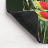 Tapis De Souris Fleur de griffe de homard - Heliconia Rostrata (Coin)