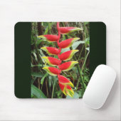 Tapis De Souris Fleur de griffe de homard - Heliconia Rostrata (Avec souris)