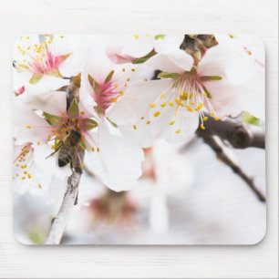Tapis De Souris Fleur de l'amandier