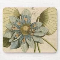 Fleur de Lotus Bleu sur Arrière - plan Tan avec éc