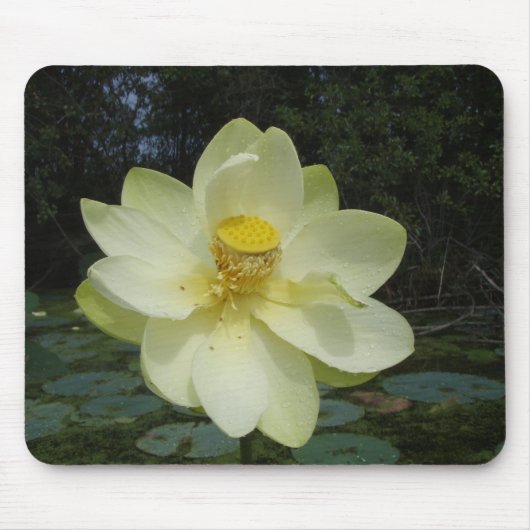 Tapis De Souris Fleur de Lotus jaune (Devant)