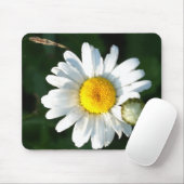 Tapis de souris fleur de marguerite blanche (Avec souris)