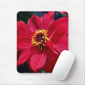 Tapis De Souris Fleur de pin rouge (Avec souris)