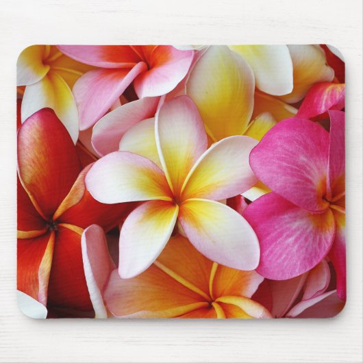 Tapis De Souris Fleur de Plumeria mixte jaune rose (Devant)