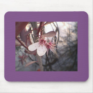 Tapis De Souris Fleur de prune