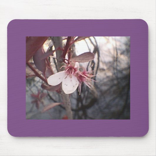 Tapis De Souris Fleur de prune (Devant)