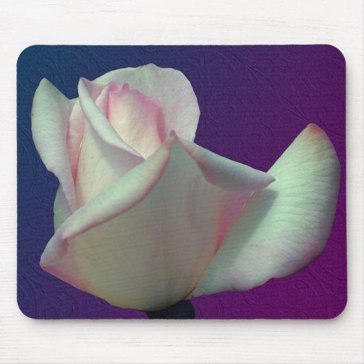 Tapis De Souris Fleur de rose blanche (Devant)