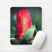 Tapis De Souris Fleur de rose jaune rouge (Avec souris)