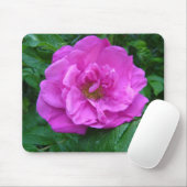 Tapis De Souris fleur de rose rose, violette (Avec souris)
