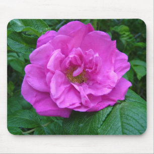 Tapis De Souris fleur de rose rose, violette