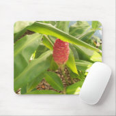 Tapis De Souris Fleur de shampooing gingembre (Avec souris)