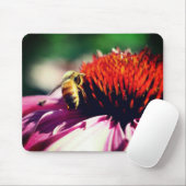 Tapis De Souris Fleur d'Echinacea d'Abeille de Miel (Avec souris)