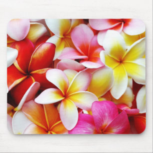 Tapis De Souris Fleur d'Hawaï de Frangipani de Plumeria customis