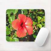 Tapis De Souris Fleur d'hibiscus (Avec souris)