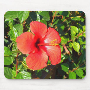 Tapis De Souris Fleur d'hibiscus