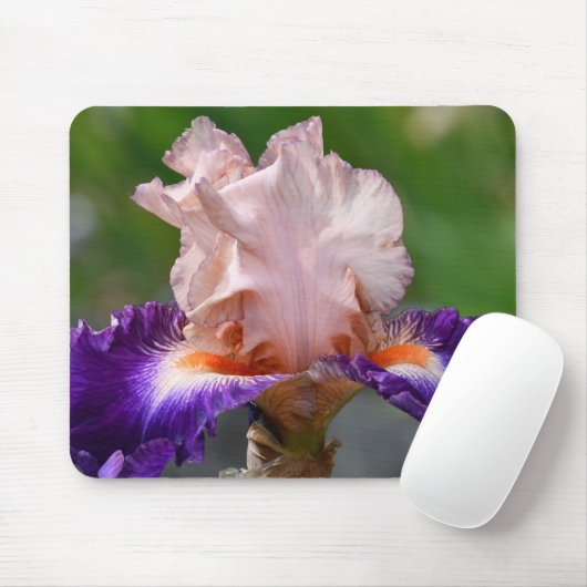 Tapis De Souris Fleur d'Iris rose et pourpre (Avec souris)