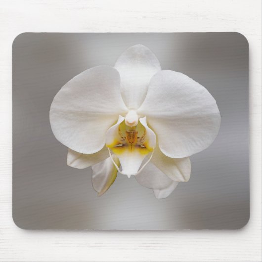 Tapis De Souris Fleur d'orchidée (Devant)