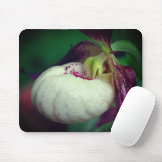Tapis De Souris Fleur d'orchidée blanche (Avec souris)
