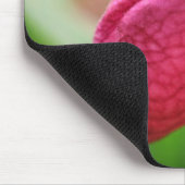 Tapis De Souris Fleur d'orchidée rose vive (Coin)