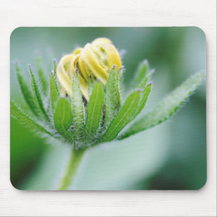 Tapis De Souris Fleur D'Ouverture De La Fleur De Cône