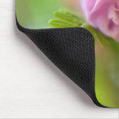 Tapis De Souris Fleur d'une Aquilegia (Coin)