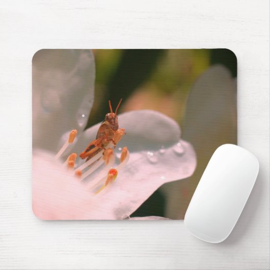 Tapis De Souris Fleur Et Grasshopper Azalea (Avec souris)