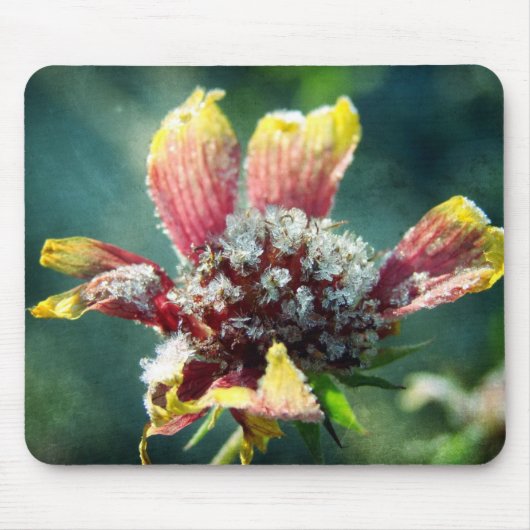 Tapis De Souris Fleur gelée (Devant)