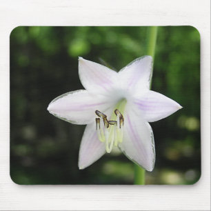 Tapis De Souris Fleur Hosta Blanche